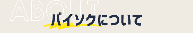 バイソクについて